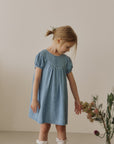 Berry denim dress