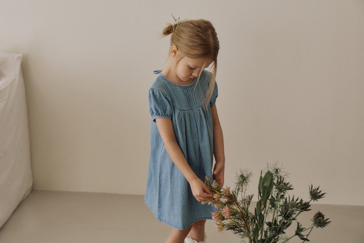 Berry denim dress